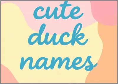cute duck names