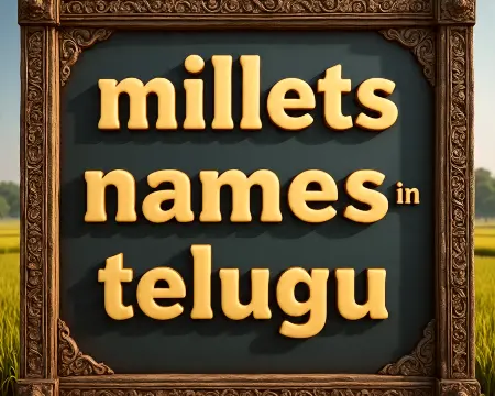 millets names in telugu