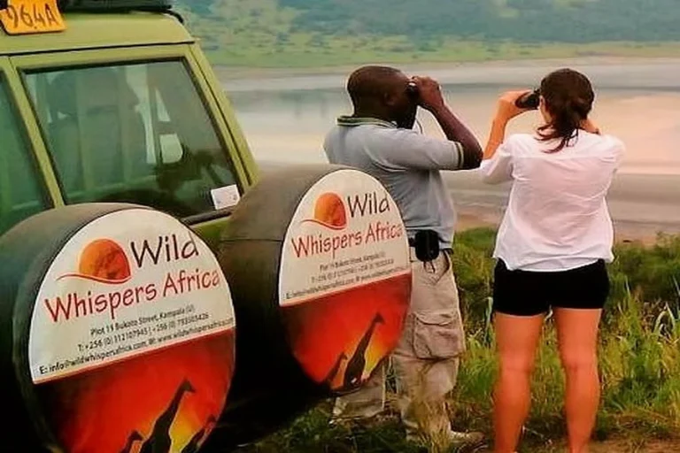 Whispers of the Wild A Journey Beyond the Map